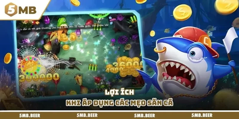 Lợi ích khi áp dụng các mẹo săn cá