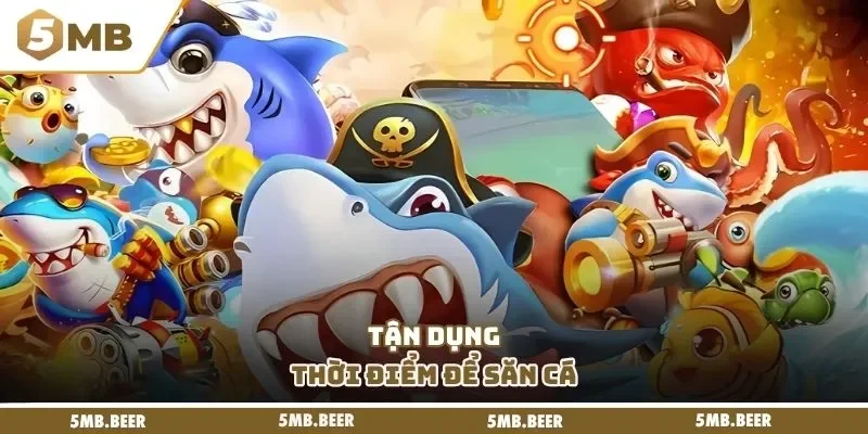 Tận dụng thời điểm để săn cá