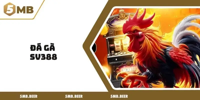 đá gà sv388