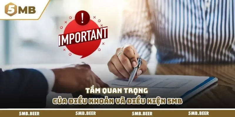 Tầm quan trọng của điều khoản và điều kiện 5MB