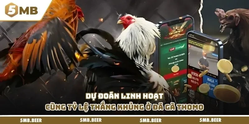 Dự đoán linh hoạt cùng tỷ lệ thắng khủng ở đá gà Thomo