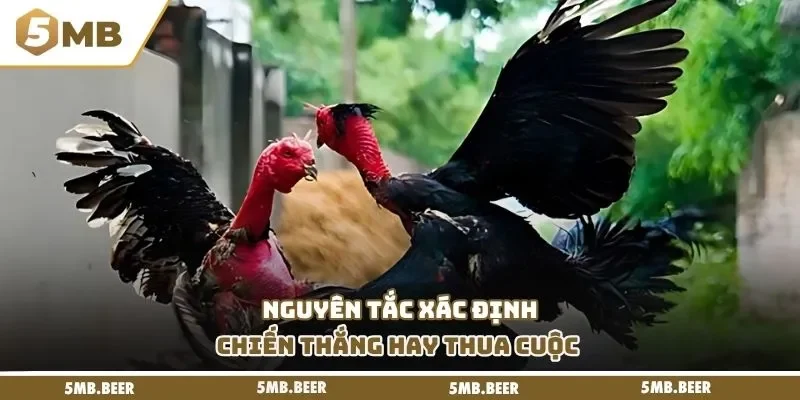 Nguyên tắc xác định chiến thắng hay thua cuộc