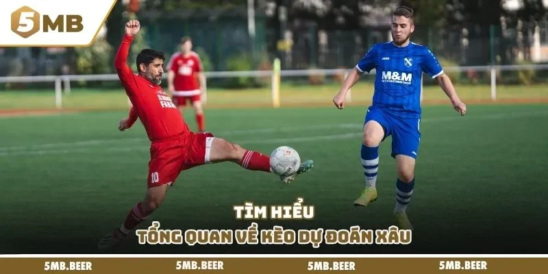 Tìm hiểu tổng quan về kèo dự đoán xâu
